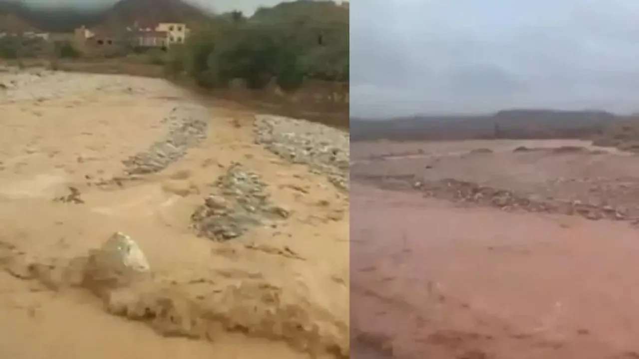 Fakta-Fakta Banjir di Gurun Sahara Setelah Mengering Setengah Abad