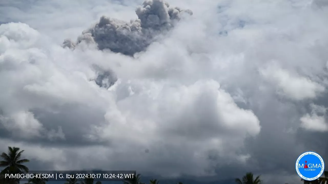 Gunung Ibu Erupsi Lagi, Semburkan Abu Vulkanik 1.500 Meter, Waspada Radius Bahaya