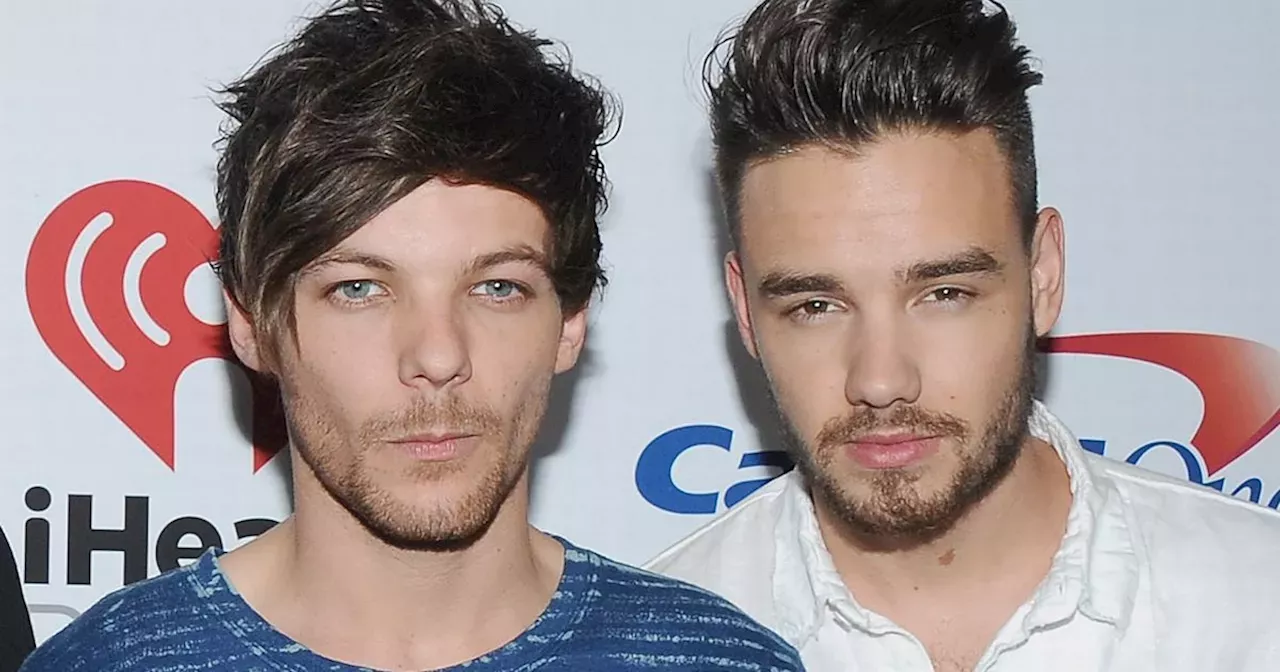 Louis Tomlinson says has 'lost a brother' in devastating tribute to