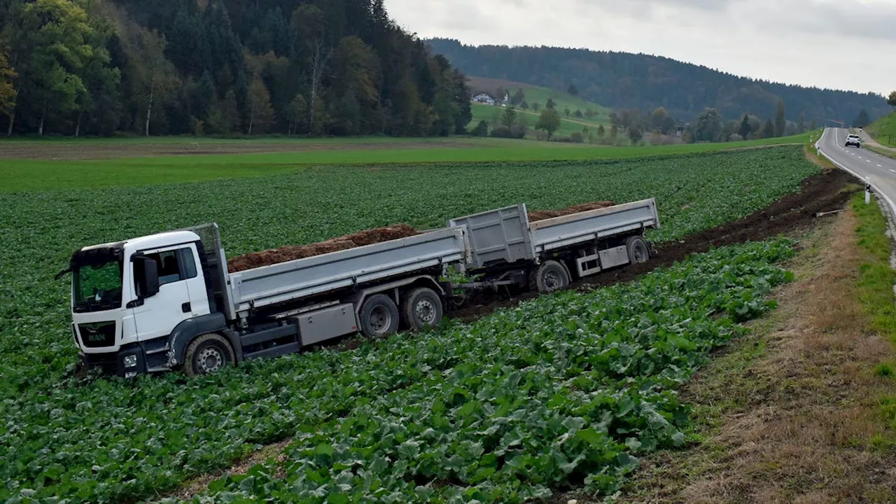 Betrunkener Rentner wird nach Unfall verletzt aufgefunden ++ Lastwagen landet im Feld