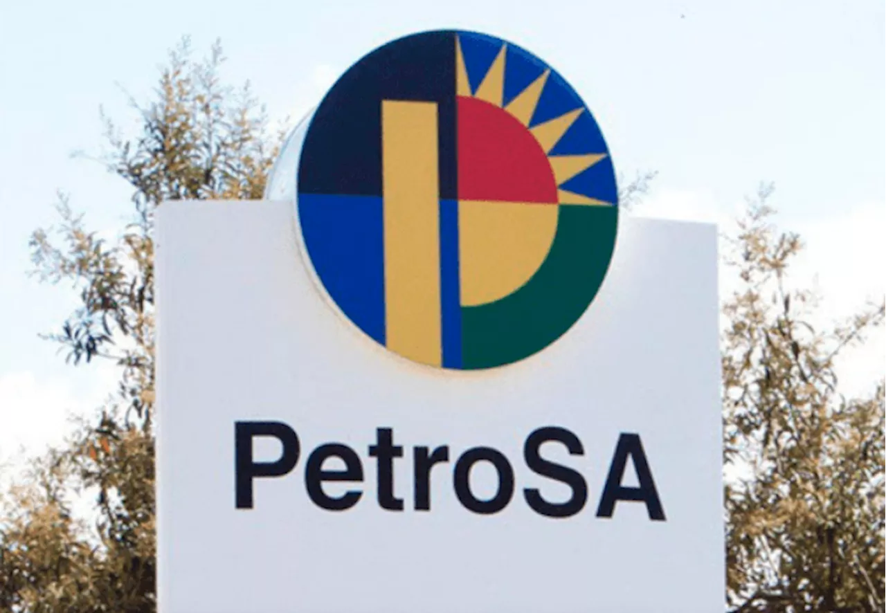 Mmete Fusi appointed acting CEO of PetroSA amid investigation into Xolile Sizani