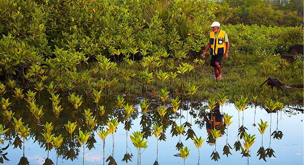 PGPC's ECO-STAR Program Helps Restore Biodiversity in Philippine Coastal Town