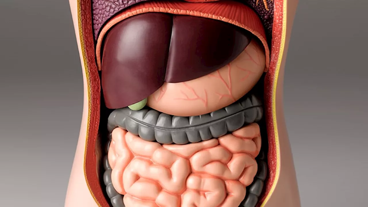 Autonomic Neural Blockade Improves Visceral Pain, Other Symptoms After Minimally Invasive Surgery