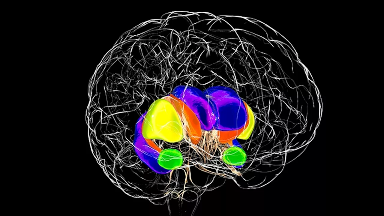 Q&A: New Insights in Huntington Disease Pathology and Symptom Management