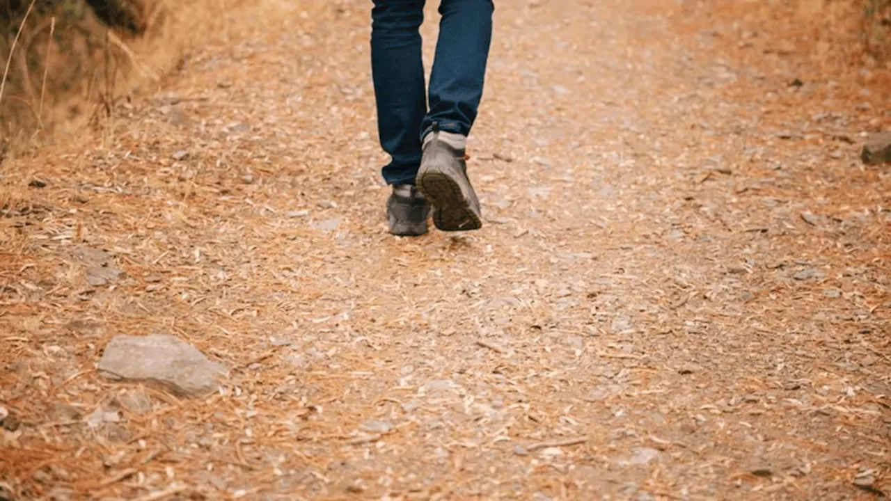 El tiempo recomendable de caminata para eliminar el azúcar del cuerpo, según Harvard