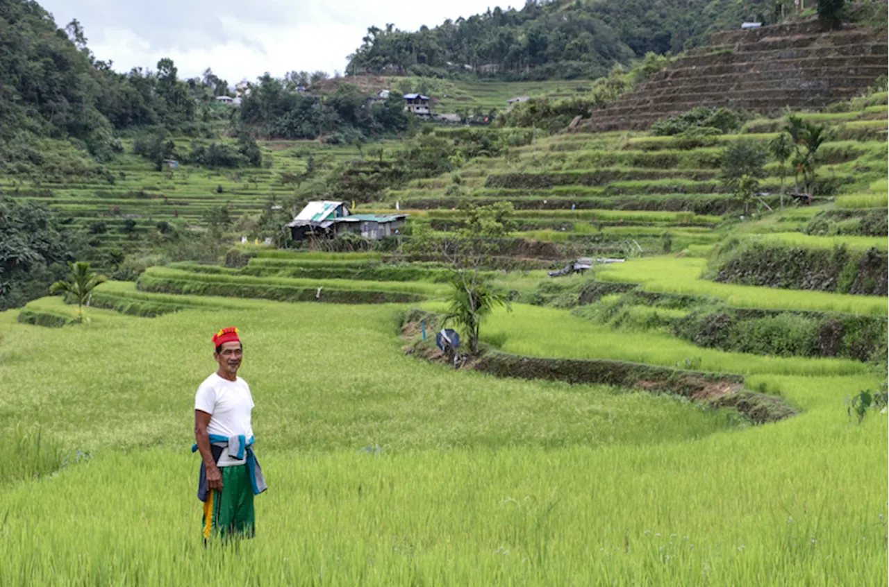 Cultivating seeds together: SN Aboitiz Power and Hedcor building strong and lasting relationships with IPs