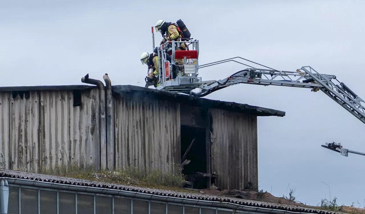 Bei Hamburg: Asbest-Dach brennt – Warnung für Anwohner