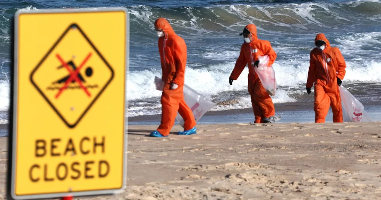 Sydney beaches shut over mysterious tar balls washing ashore