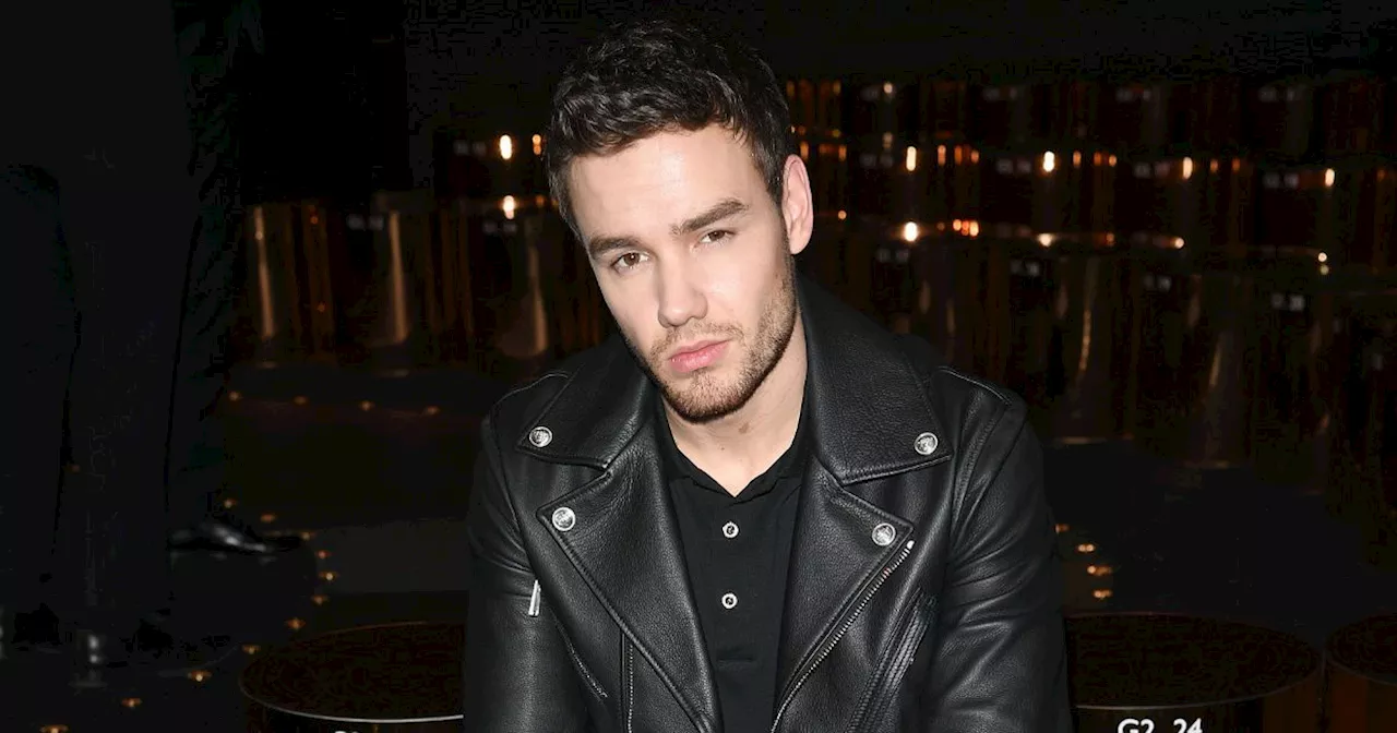 Liam Payne was set to be popular judge on new Netflix reality show