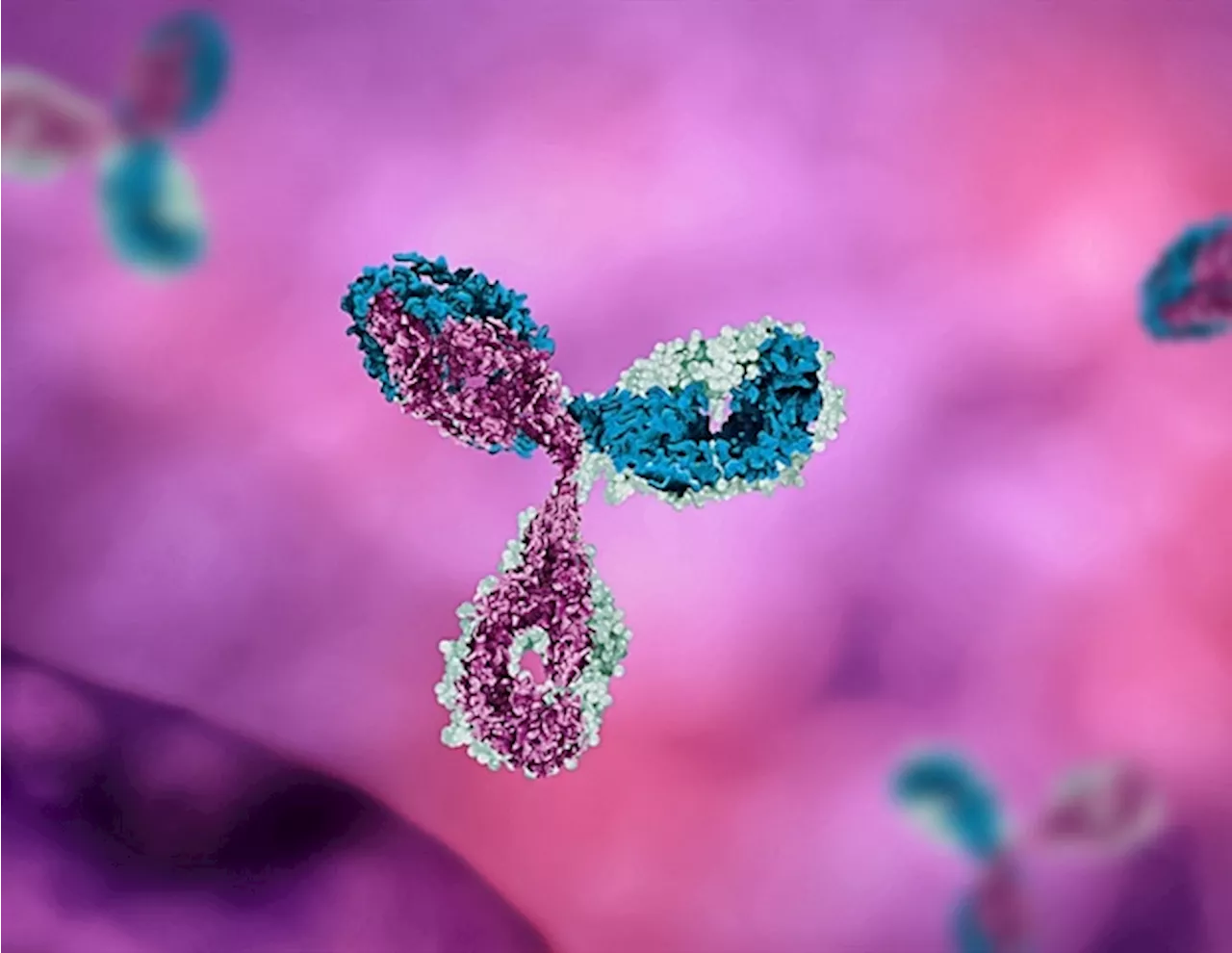 Trial evaluates monoclonal antibodies for long COVID prevention