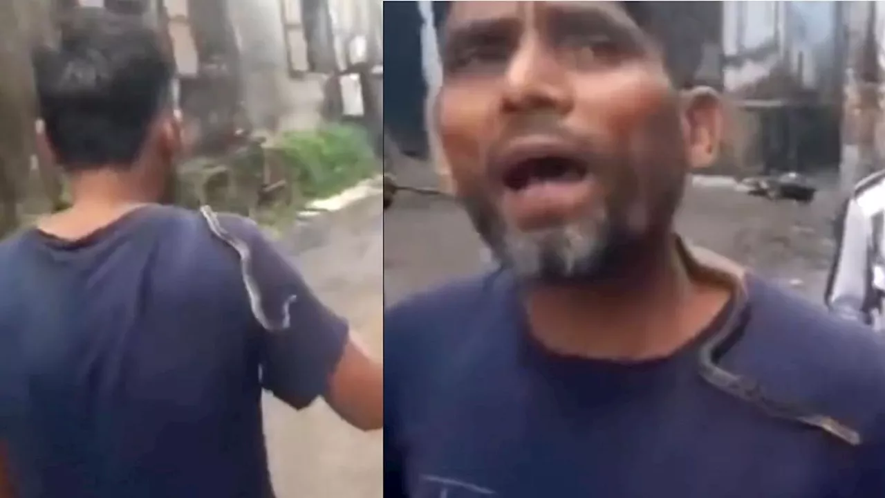 Viral Video : शराब के नशे में युवक ने सांप को बना लिया अपना दोस्त, वीडियो देख नहीं होगा यकीन!