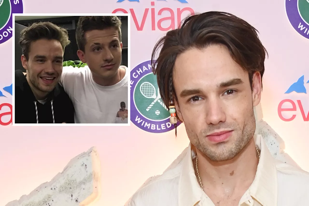 Liam Payne Tributes Pour in After Singer Falls to His Death