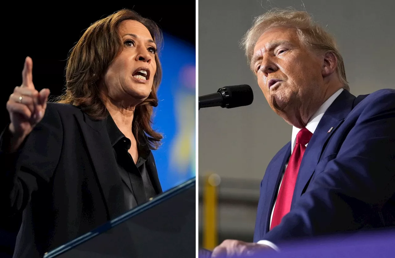 Harris vs. Trump latest polls: New Fox News results will make Trump angry