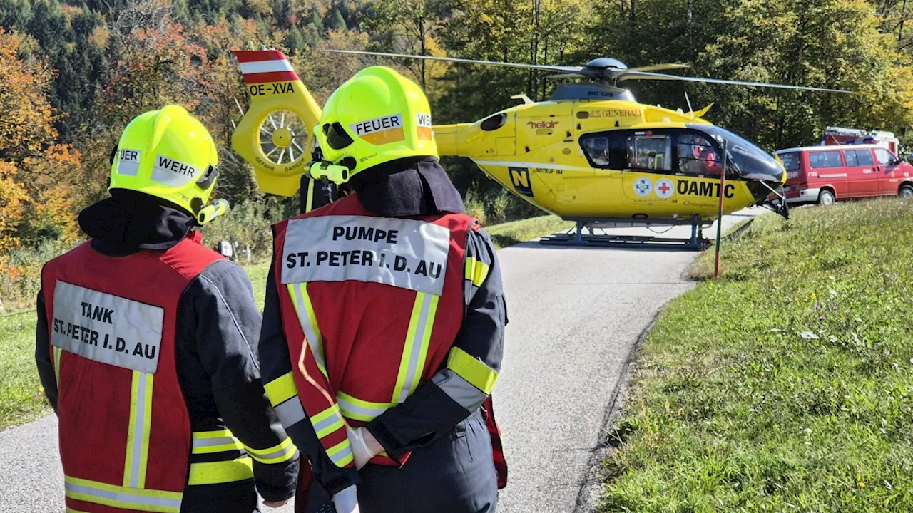 Ast traf Mann am Kopf und verletzte ihn schwer