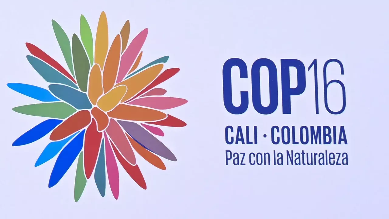 El espacio en el que participarán las universidades caleñas durante la COP16