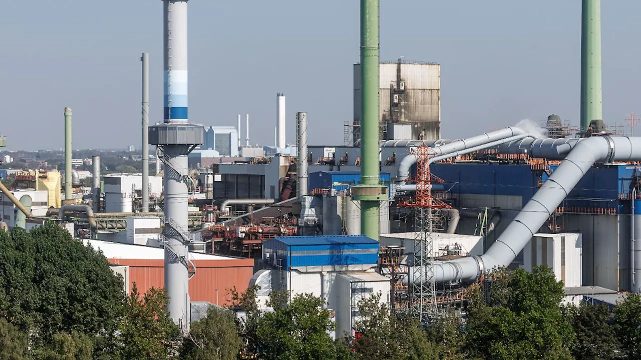 Übernahmefantasien an der Börse: Was plant Rossmann beim Kupferkonzern Aurubis?