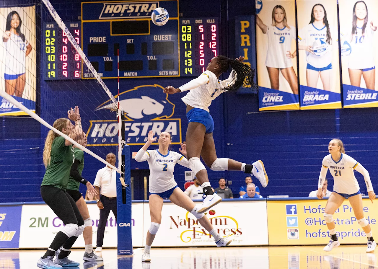 Hofstra Volleyball Overcomes Injuries, Builds Momentum