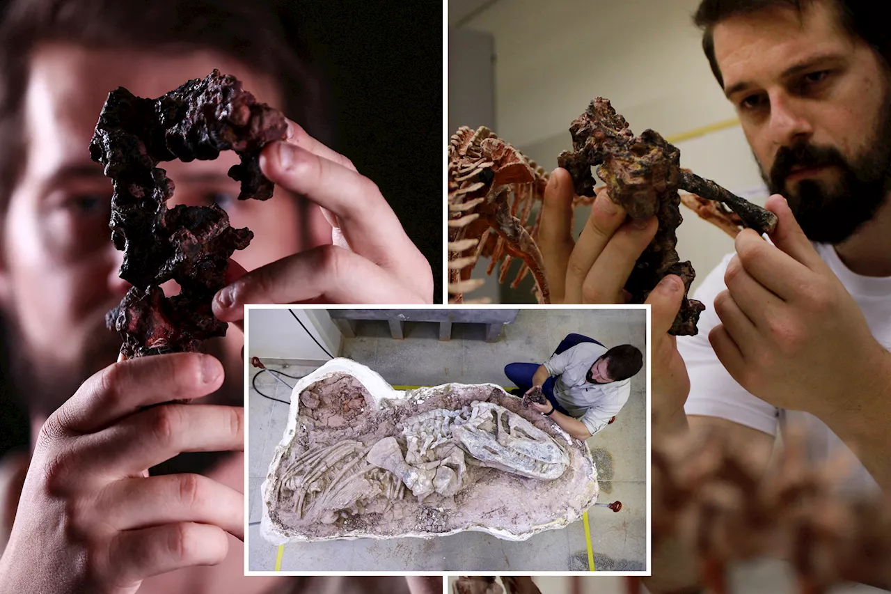 Discovery of 237-million-year-old fossil in Brazil shines light on early dinosaurs