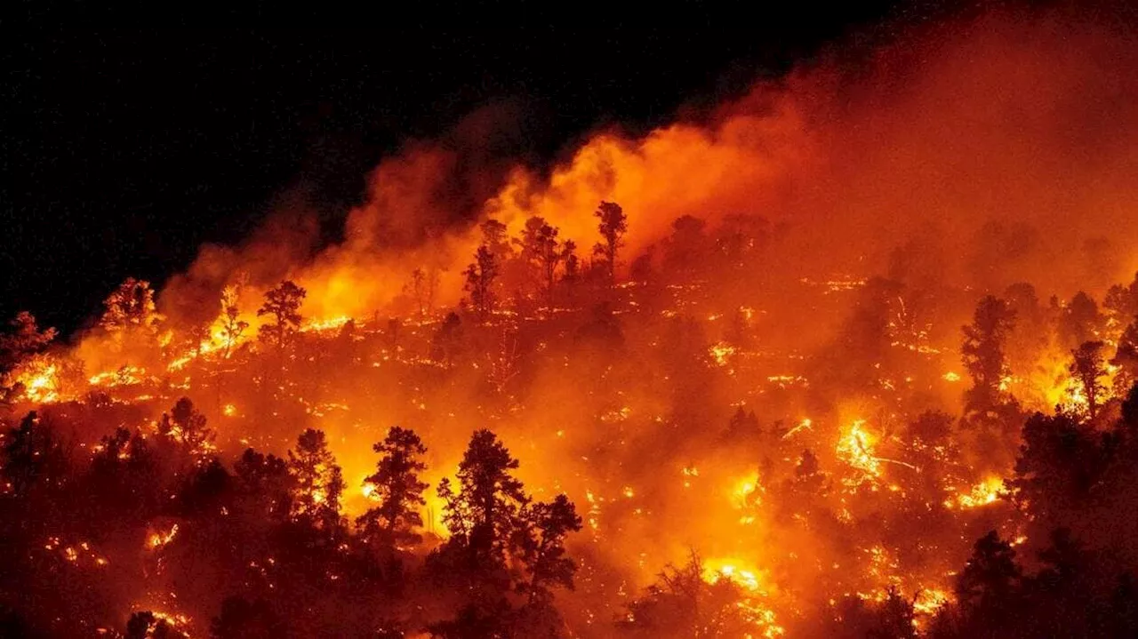 La propagation incontrôlable des feux de forêt : un cercle vicieux à cause du réchauffement climatique