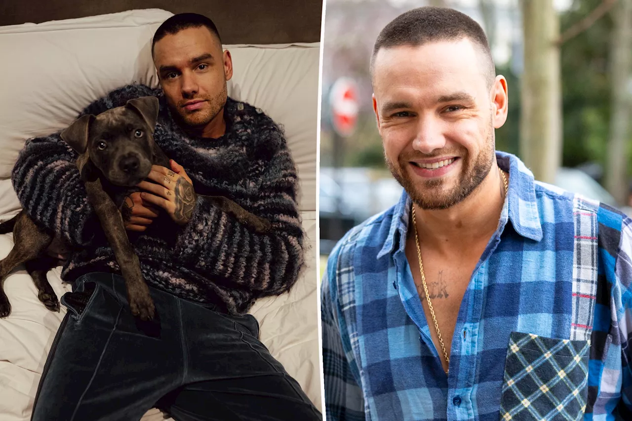 Liam Payne dead at 31: Paris Hilton, Charlie Puth and more celebs react