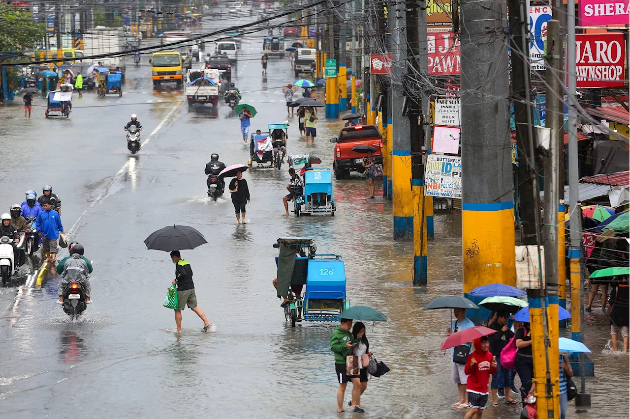 Cities Key To Winning The Fight Against Disasters: Experts