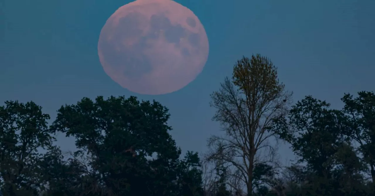 Supermond und Komet in NRW: Doppeltes Himmelsschauspiel?