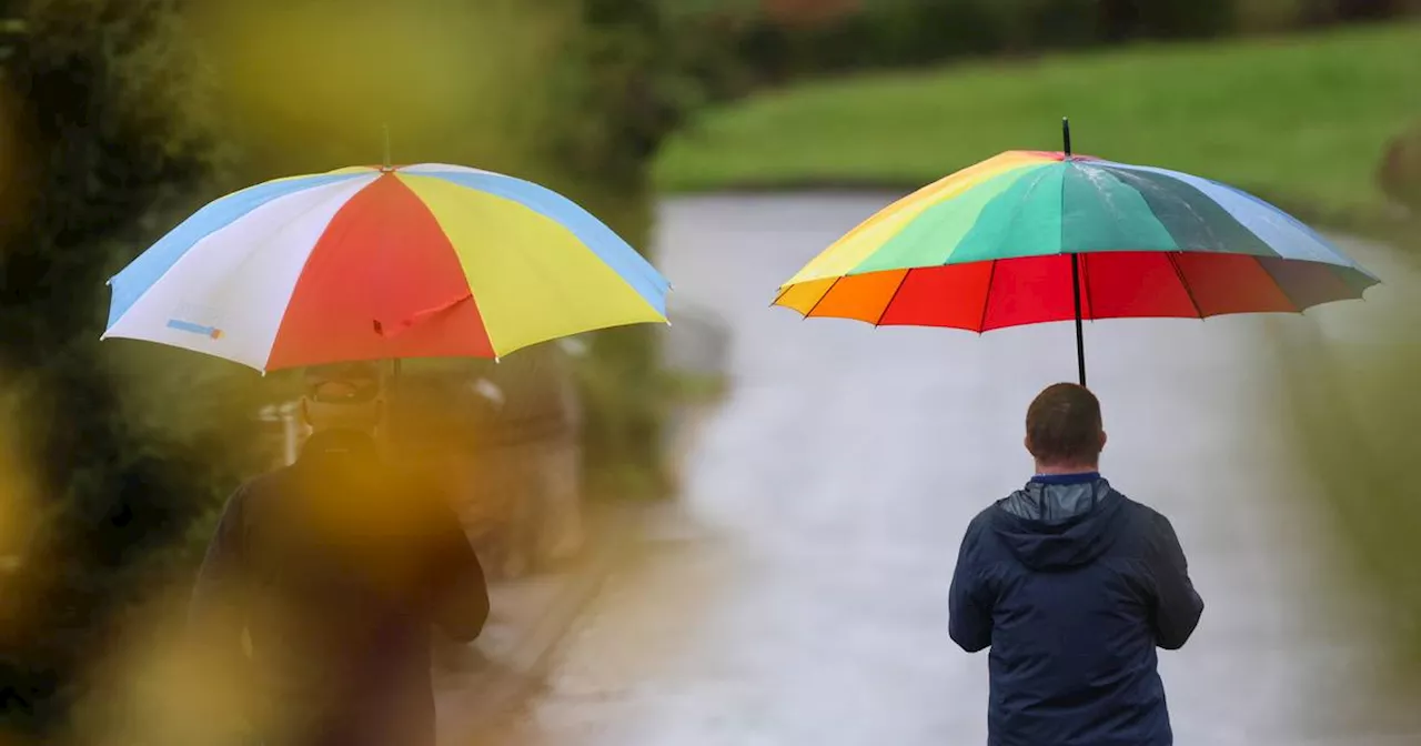 Wetter in NRW: Regen, Nebel und milde Temperature