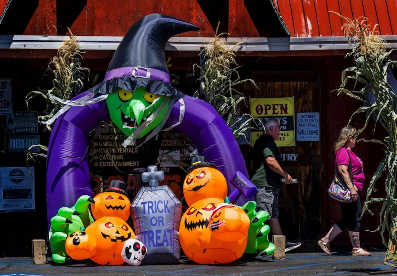 San Diego County Buzzes with Halloween Fun