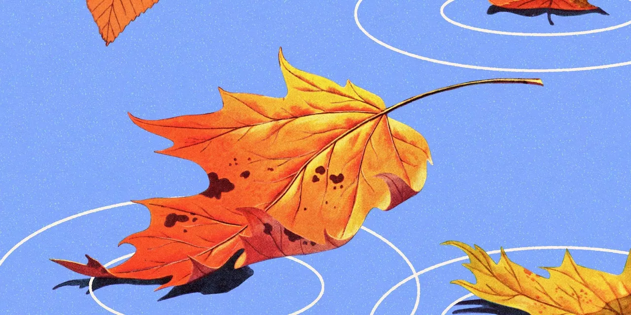 The Scientific Reason Why the Smell of Autumn Makes You So Emotional