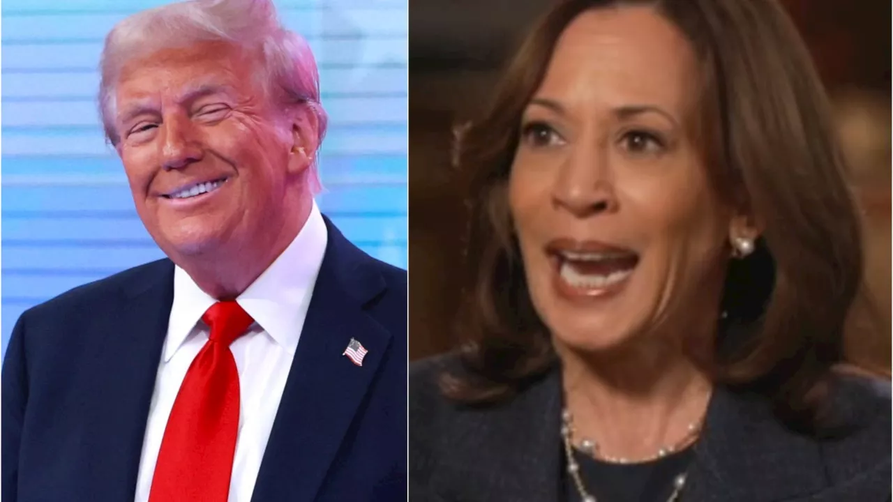 ‘I told you’: Harris repeatedly clashes with host in fiery Fox News interview