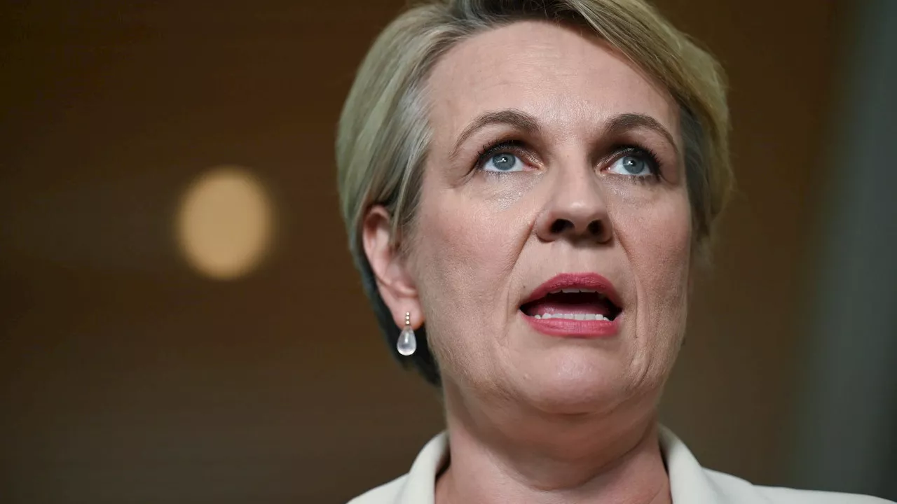 Plibersek defends gold mine decision despite expert’s bombshell claims