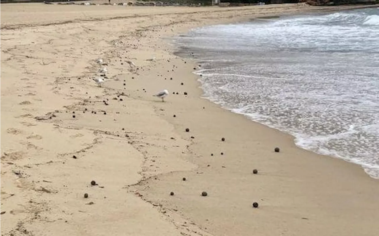 Australia, spiagge chiuse a Sydney per la comparsa di centinaia di sfere nere sul litorale