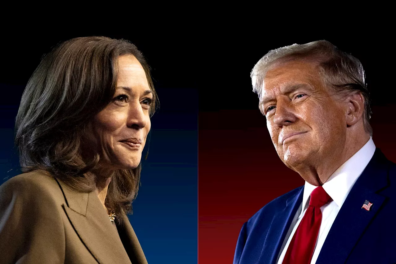 The New York Times Must Be Sent to Headline Jail for These Trump and Harris Headlines