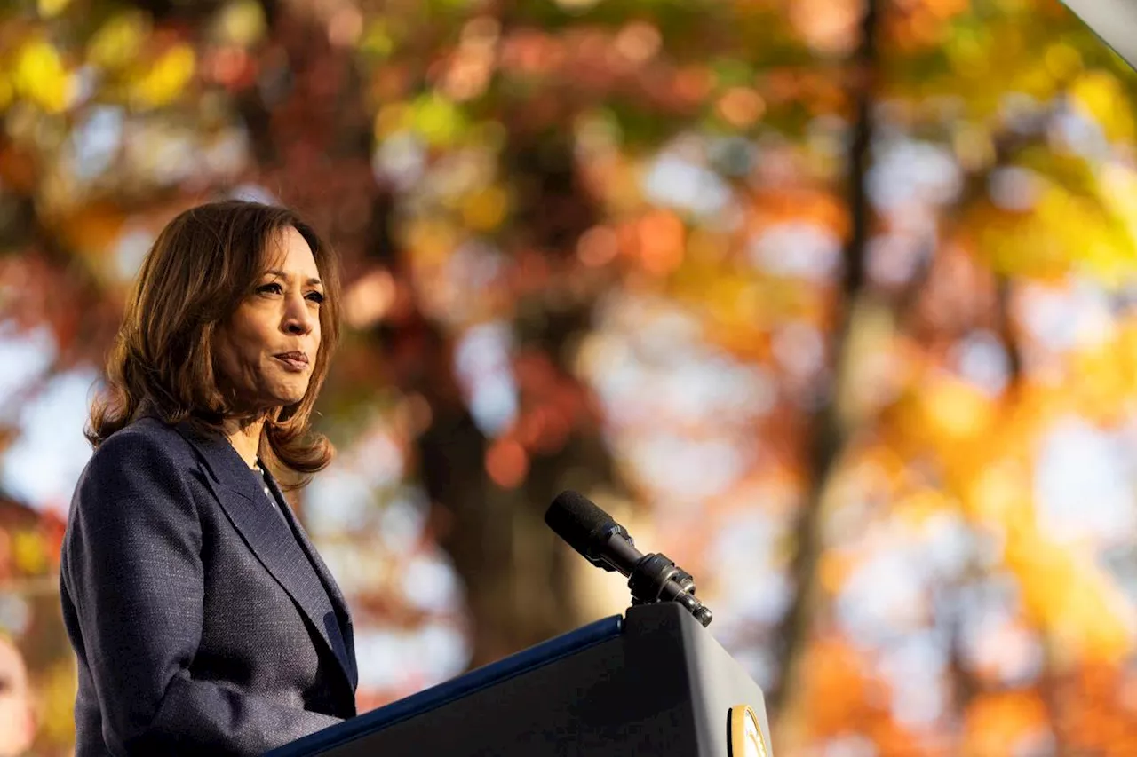 Présidentielle aux États-Unis : Kamala Harris promet une présidence en rupture avec celle de Joe Biden