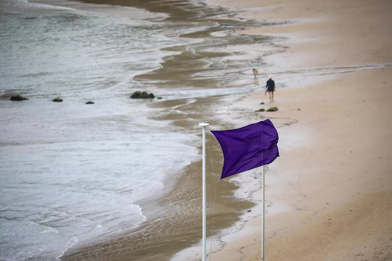 Qualité des eaux de baignade au Pays basque : des épisodes de pollution liés à des pics d’intempéries