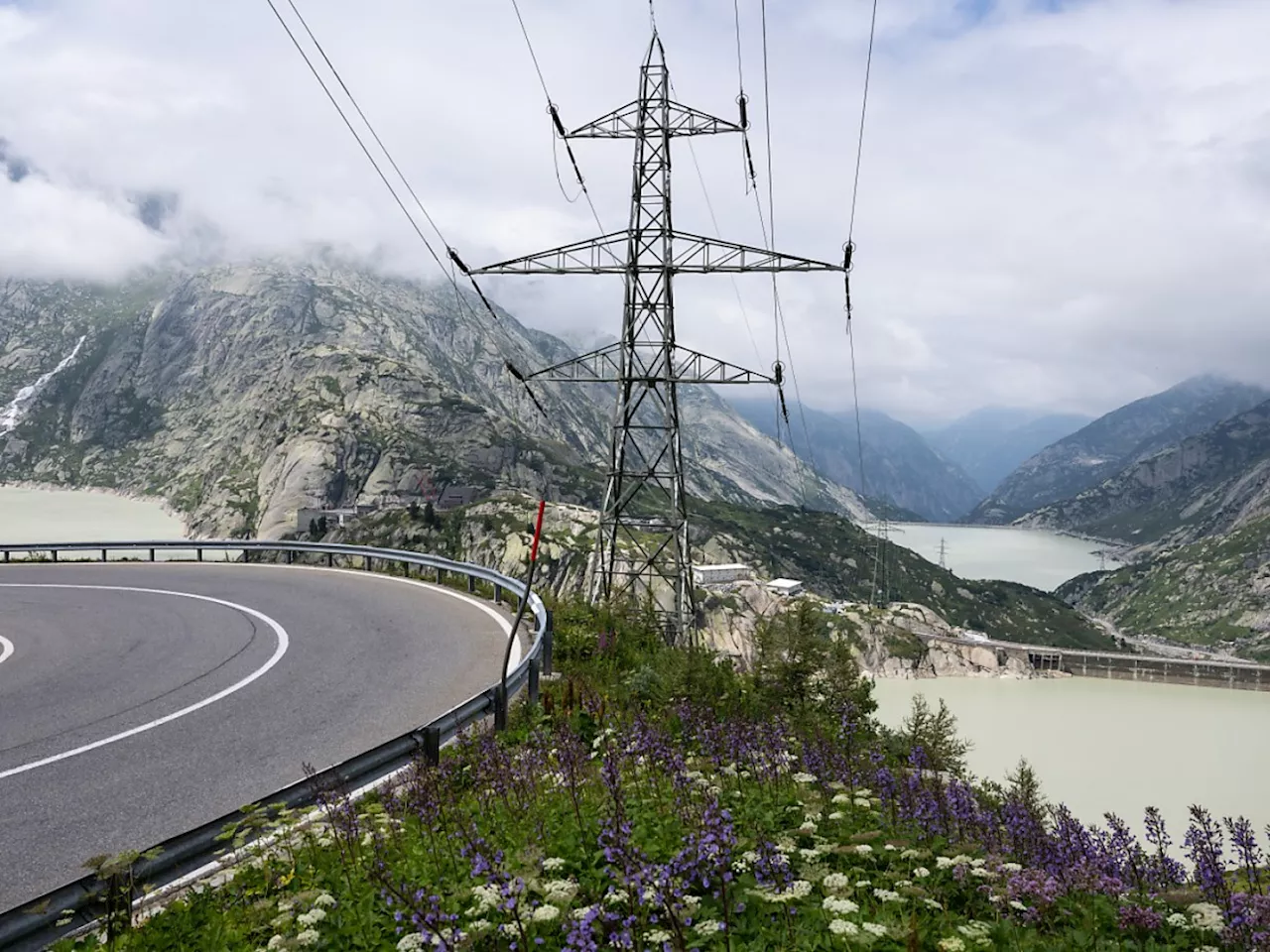 Kritik an Vorrang von Strom-Freileitungen bei Gesetzesrevision