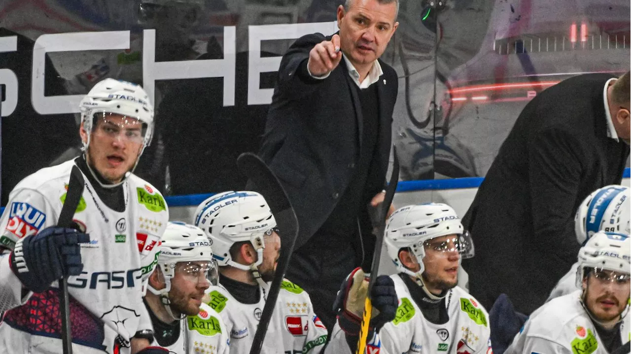 Eisbären im Achtelfinale der Champions League: Eisbären-Coach Aubin lobt den „Stolz“ seines Teams