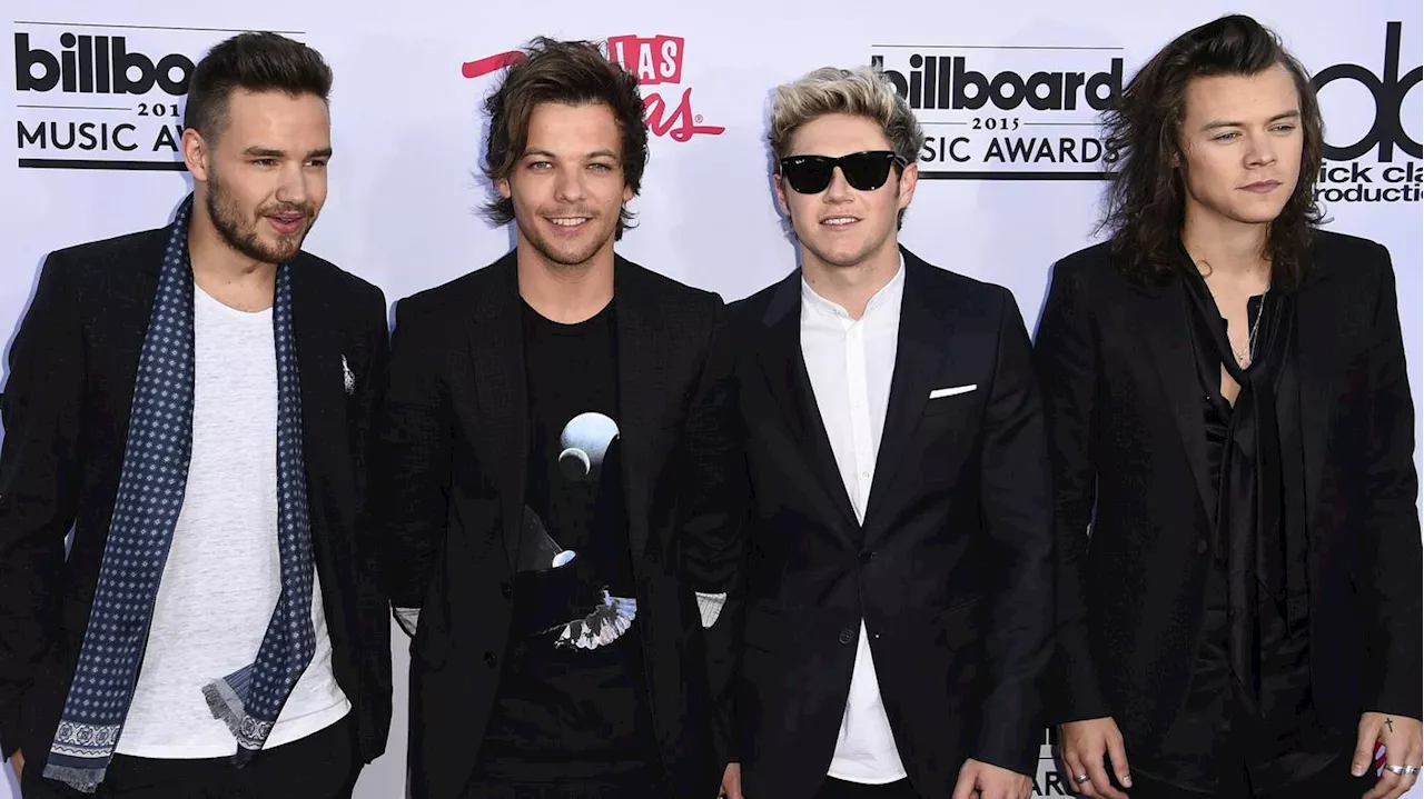 Niall Horan, Liam Payne, Harry Styles und Louis Tomlinson: One Direction-Mitglieder bestätigen einjährige Auszeit