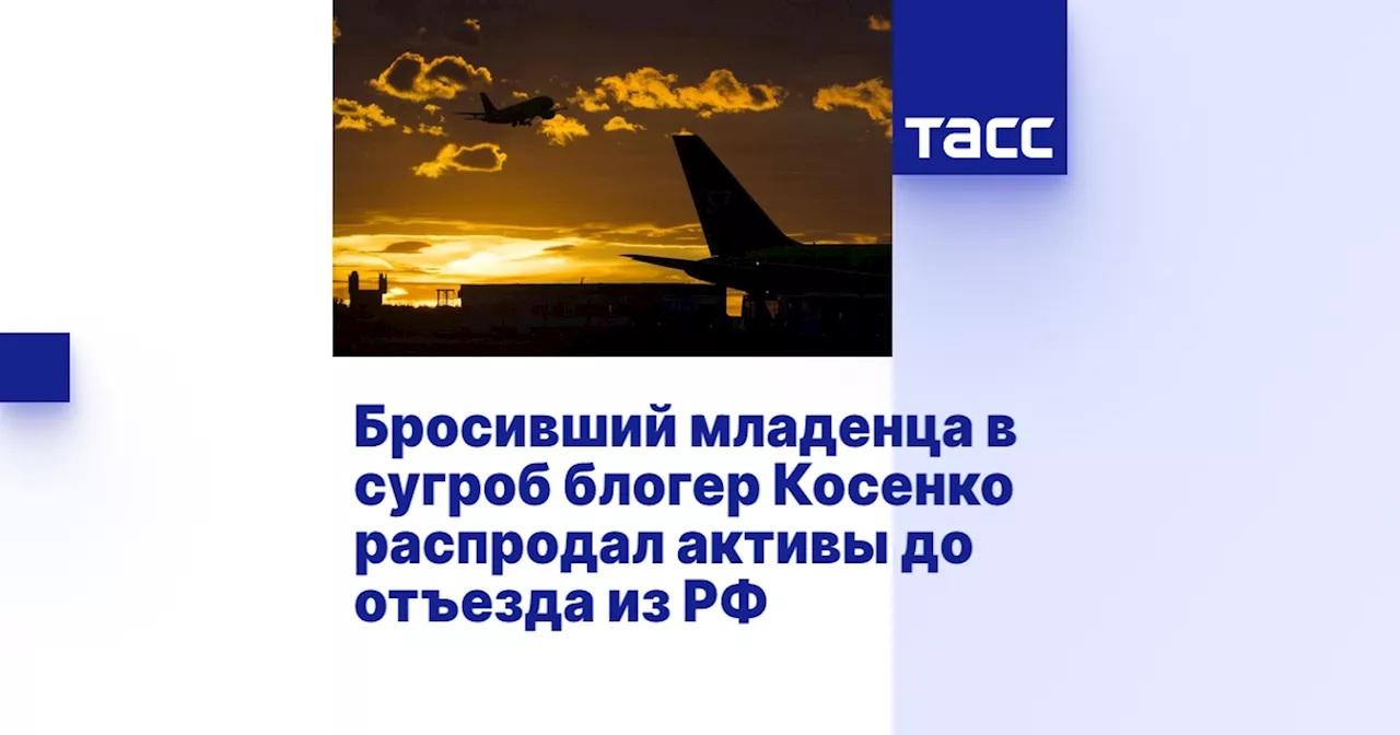 Бросивший младенца в сугроб блогер Косенко распродал активы до отъезда из РФ