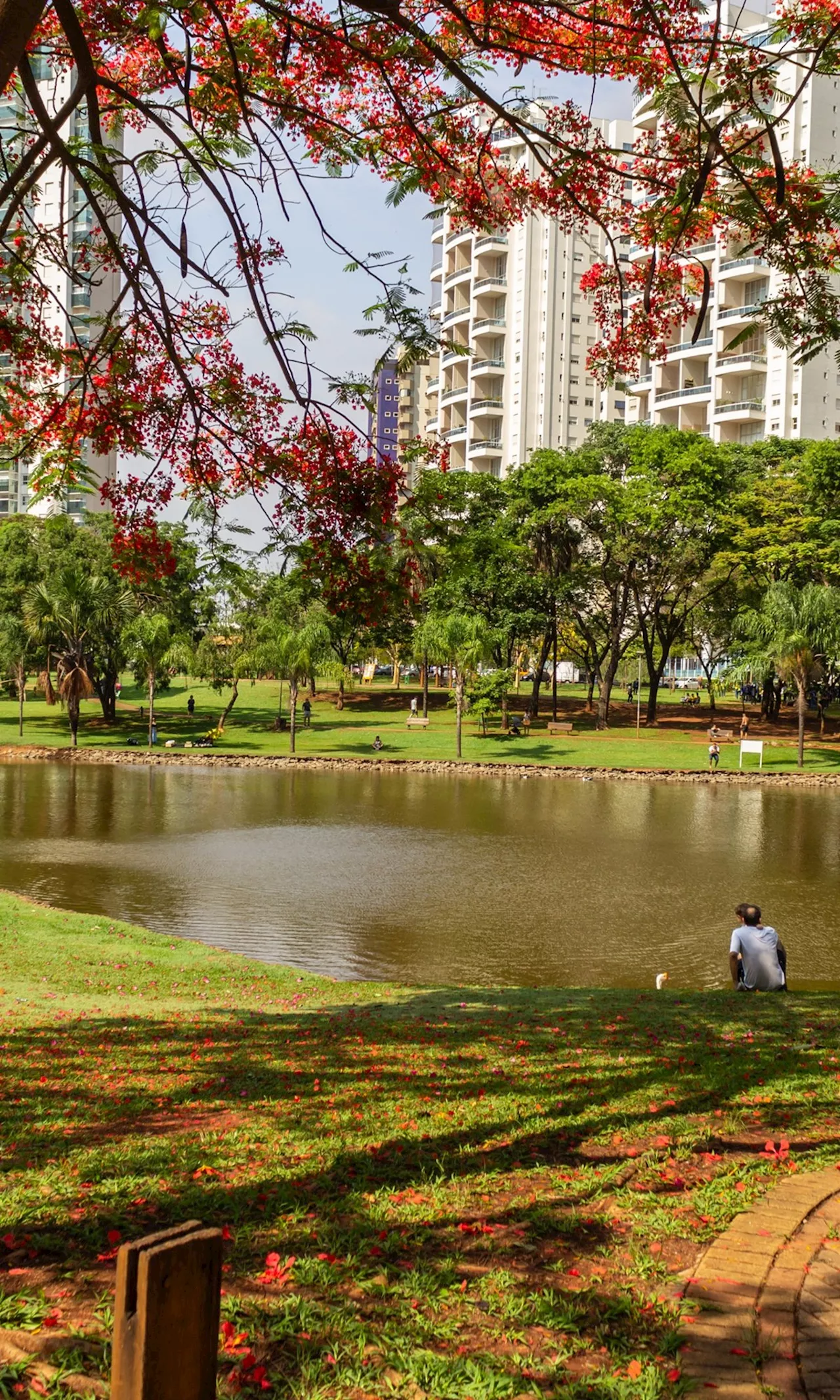 Brasil não terá horário de verão em 2024, anuncia governo