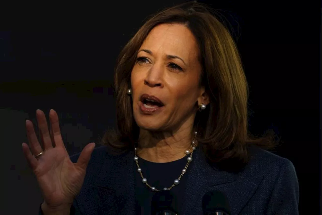 Harris vows break from Biden in Fox interview