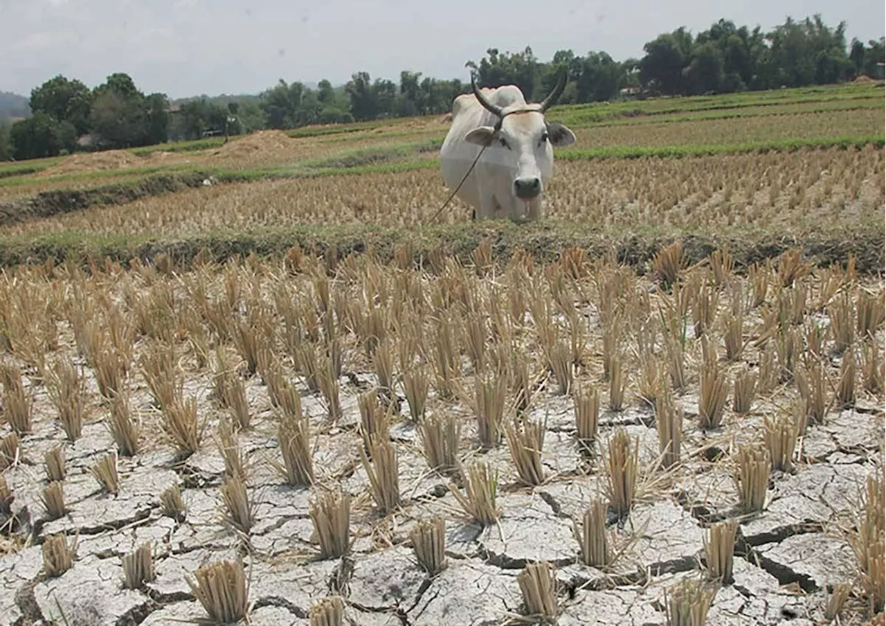 Water crisis threatening world food production