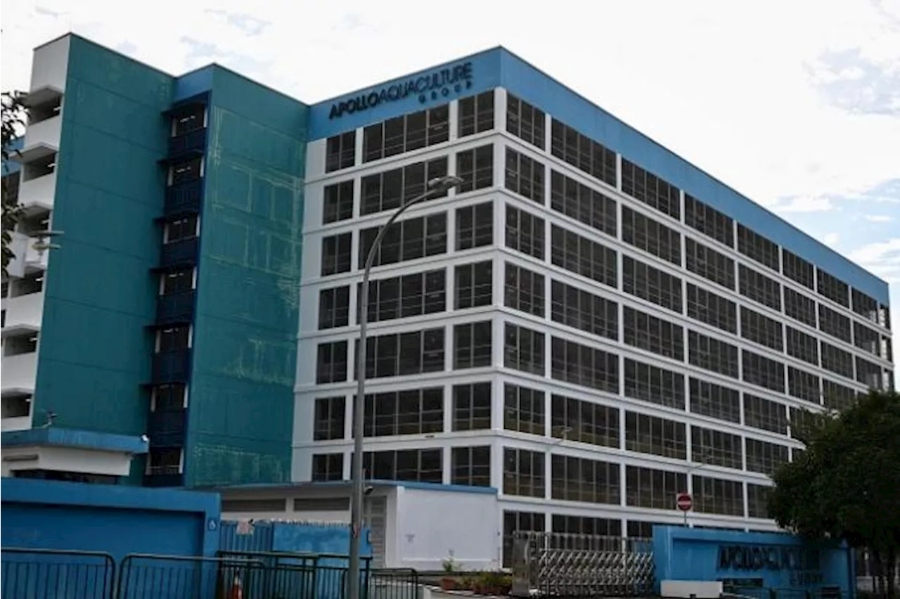 Eight-storey fish farm, built at cost of $65m, to be sold