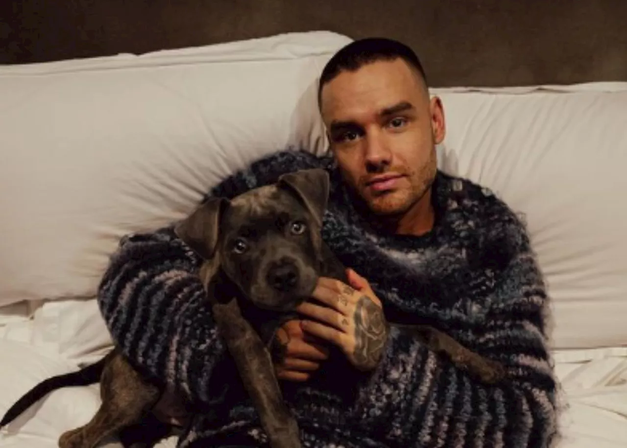 RIP Liam Payne: What happened to former One Direction star?