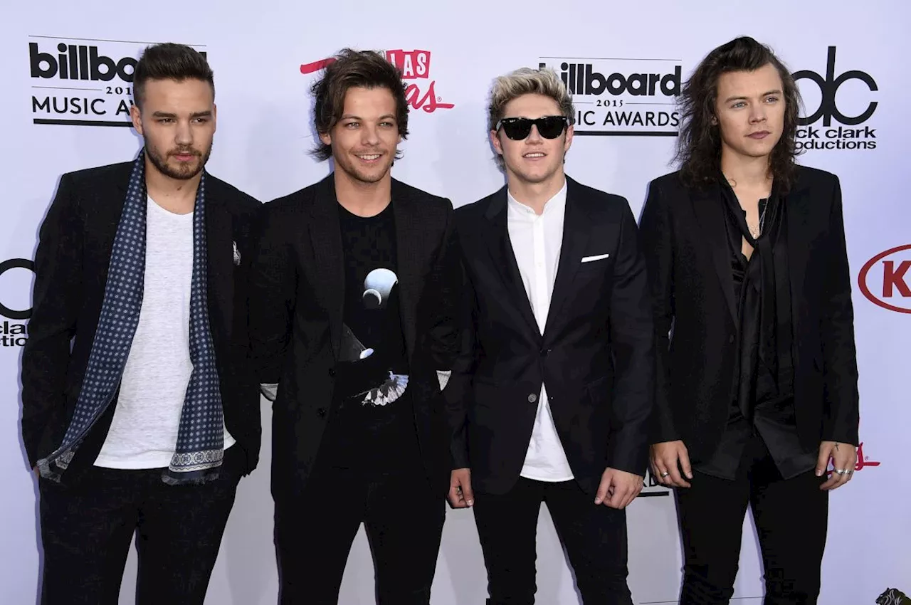 RIP: Music world rocked as One Direction star falls to his death