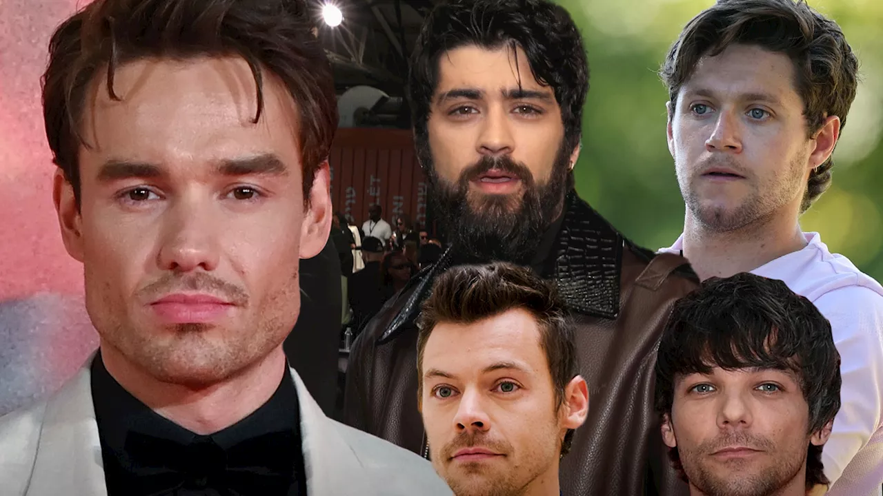 Louis Tomlinson, Zayn Malik Share Their Grief After One Direction's Liam Payne Statement