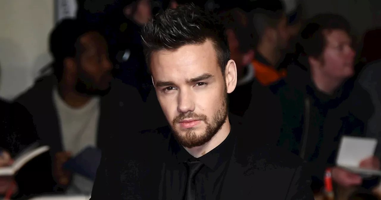 Liam Payne, One Direction Singer, Dies After Fall at Hotel in Buenos Aires