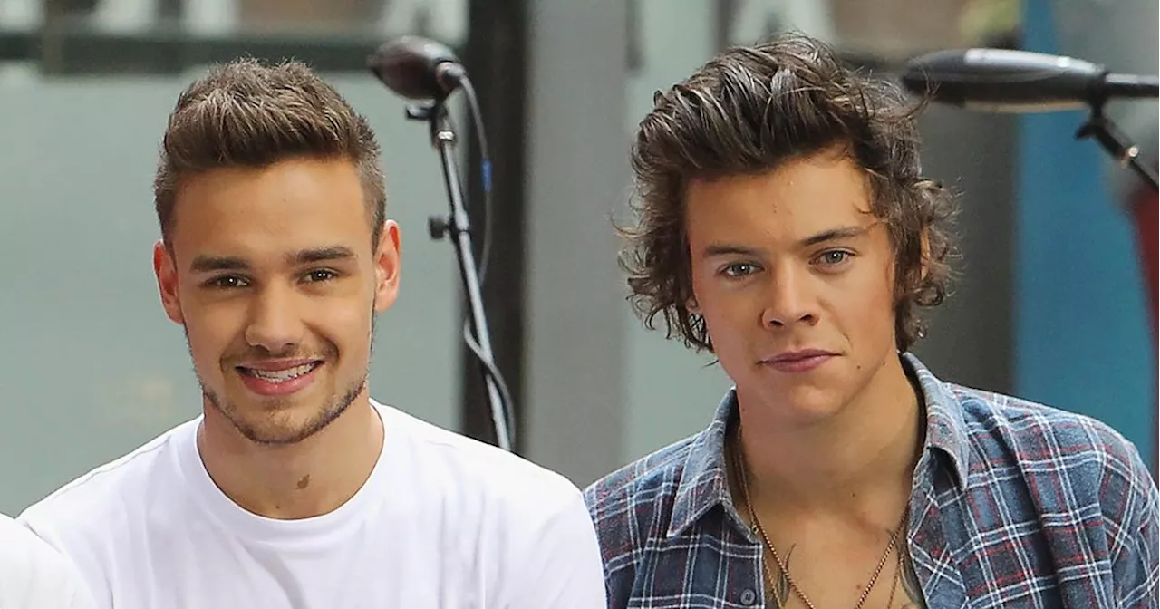 Harry Styles and Liam Payne’s Friendship Through the Years: Timeline