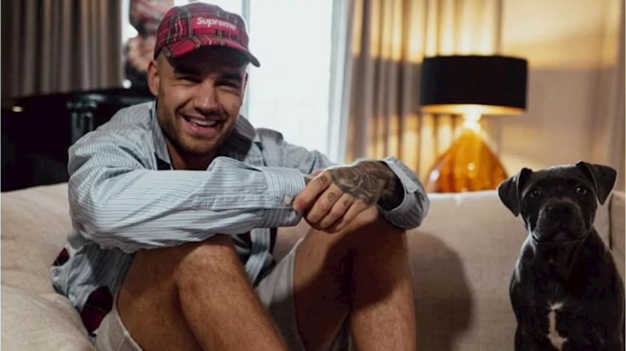 Sebelum Meninggal Dunia, Liam Payne Sempat Mengungkap Keinginannya untuk Bunuh Diri