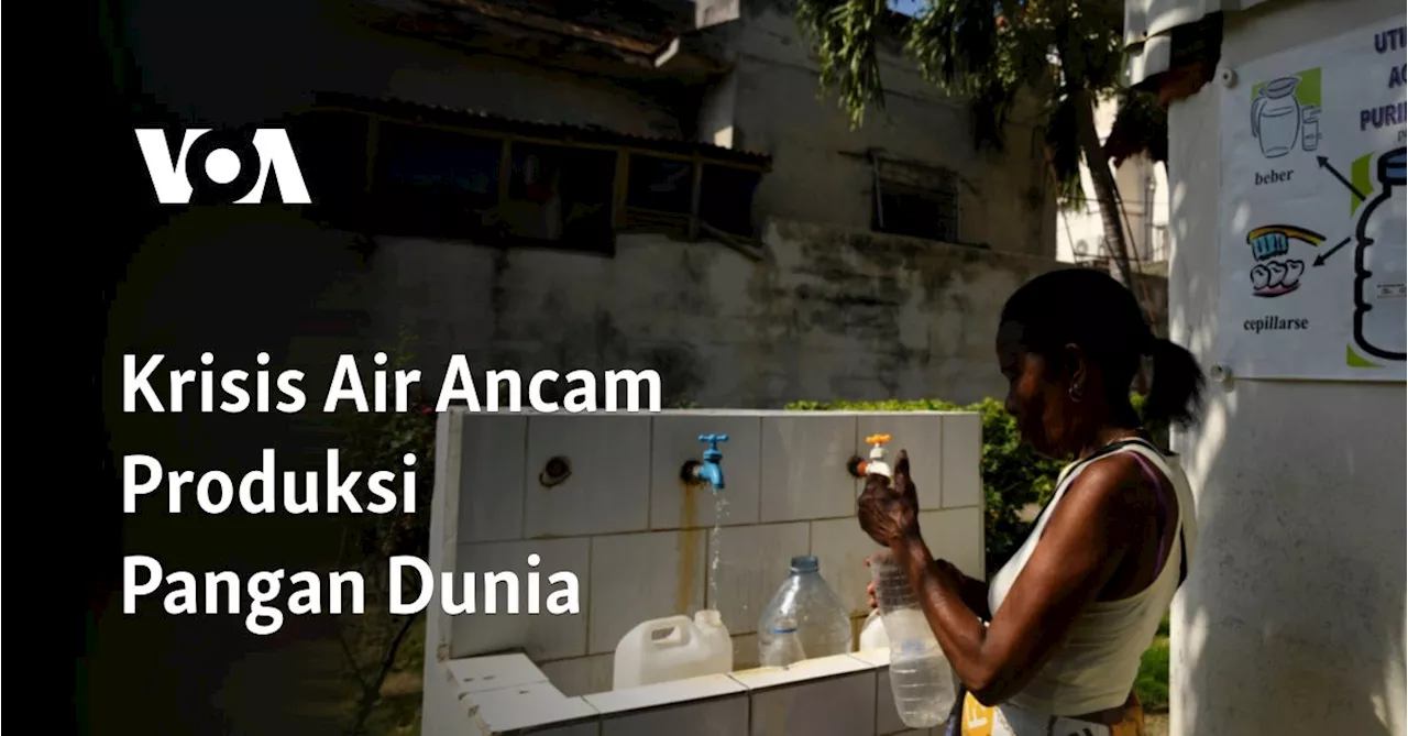 Krisis Air Ancam Produksi Pangan Dunia